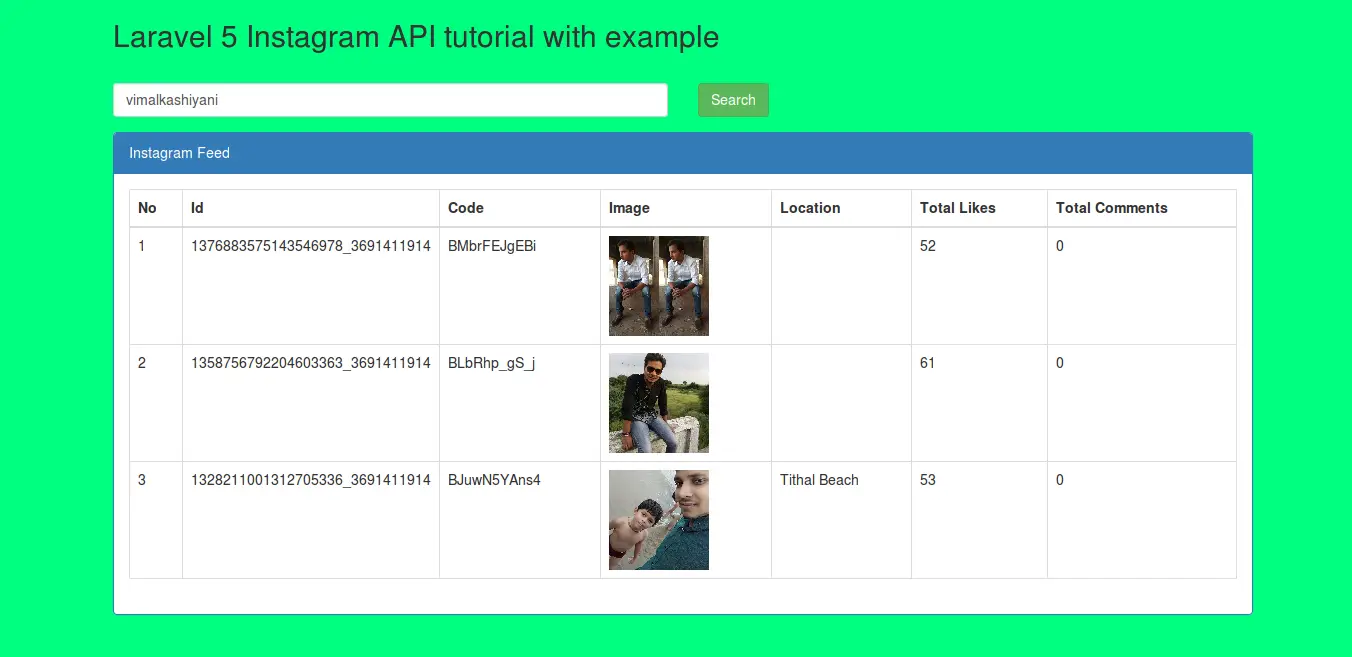 Laravel Instagram API Tutorial Example