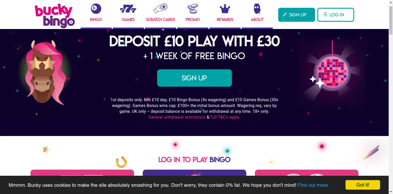 Tips you should know about online bingo