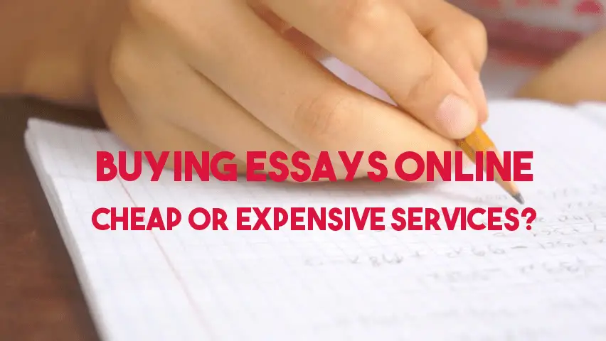 buy cheap essay online