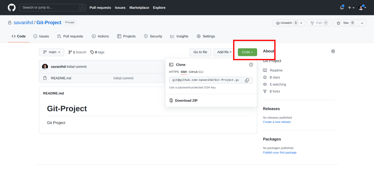 How to Clone Github Repository using Command Line? - ItSolutionStuff.com
